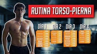 LA MEJOR RUTINA DE ENTRENAMIENTO  CIENTÍFICAMENTE COMPROBADO [upl. by Enetsirhc709]