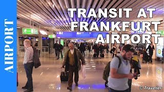 TRANSIT WALK AT FRANKFURT Airport FRA Terminal 1  Connection Flight Transfer Arriving amp Departing [upl. by Elam]