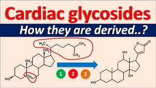 Cardiac glycosides  How they are derived [upl. by Anaib]