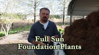 Garden Center Tour of Shrubs for Full Sun Foundation Plantings [upl. by Kleper]