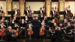 Beethoven Sinfonia 5 [upl. by Ettevi]