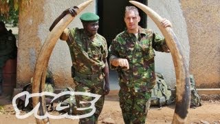 Elephant Poachers in Kenya [upl. by Cybil600]